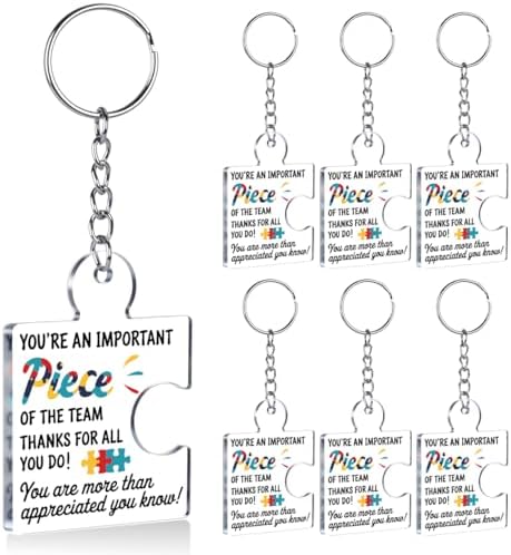 Team Appreciation Gifts Bulk for Coworkers Employee Staff Keychains by Unknown