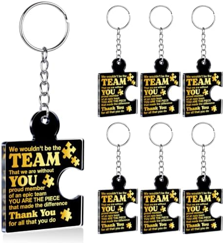 Team Appreciation Gifts Bulk for Coworkers Employee Staff Keychains by Unknown