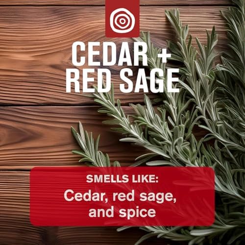 Every Man Jack Bath and Body Shower Gift Set for Men, Cedar Red Sage - Image 4