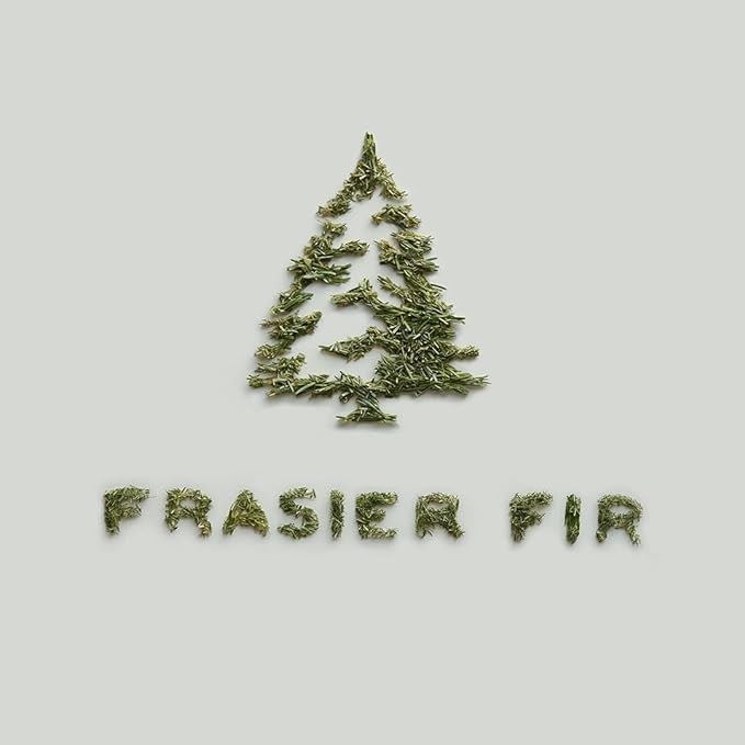 Thymes Frasier Fir Candle - Heritage Pine Needle Luminary Scented Candles - Elegant Pine Candle - Crisp Siberian Fir, Cedarwood & Sandalwood - Holiday Candles - Christmas Decor (Small, 7.5 oz)