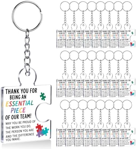Team Appreciation Gifts Bulk for Coworkers Employee Staff Keychains by Unknown