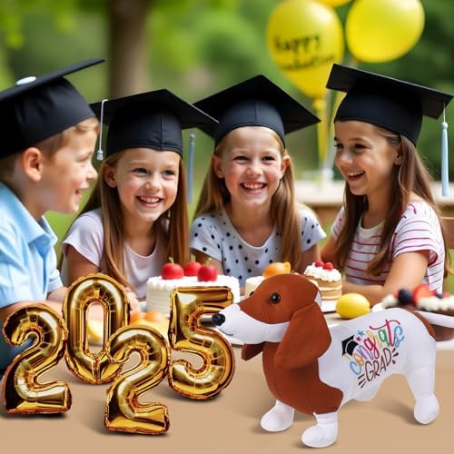 Blank Dachshund with Graduation Cap Toys Autograph Stuffed Dog Class of 2026 Graduated Plush Stuffed Teddy Animal Dog for Graduation Day Gift(Dachshund) - Image 3
