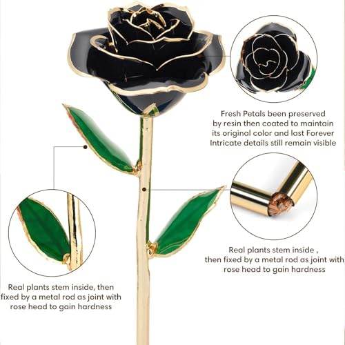 Anthonic Gold Dipped Infinity Rose Last Forever Flower Decor, Birthday Gift for Women in Her Birthday Valentines Day Mothers Day, Resin Preserved Rose | Anniversary Present for Mom (Black) - Image 2