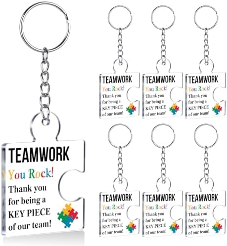 Team Appreciation Gifts Bulk for Coworkers Employee Staff Keychains by Unknown