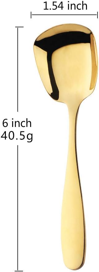 Stianless Steel Soup Spoon, Table Spoon, Set of 8 (multicolor)