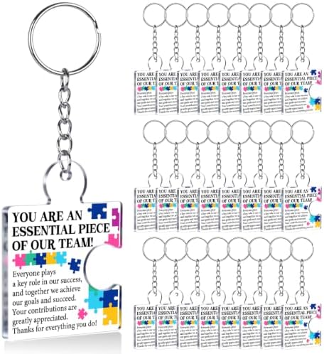 Team Appreciation Gifts Bulk for Coworkers Employee Staff Keychains by Unknown