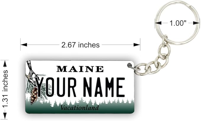License Plate Keychain - Personalized - All States Multicolor