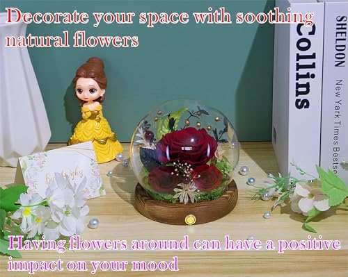 Long-Lasting Real Flowers - Unique Floral Gift For You To Send Love - Image 5