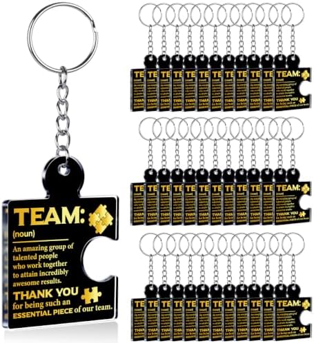 Team Appreciation Gifts Bulk for Coworkers Employee Staff Keychains by Unknown