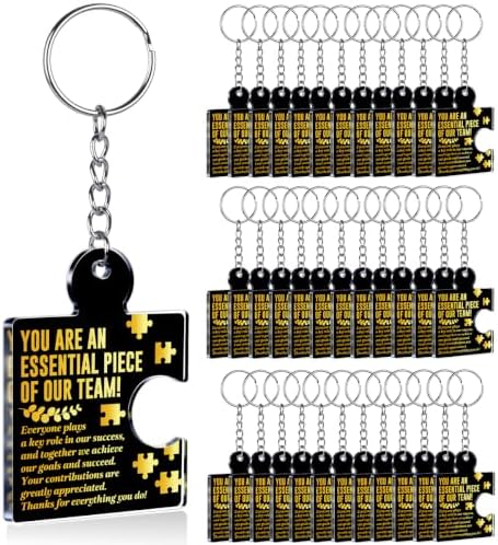 Team Appreciation Gifts Bulk for Coworkers Employee Staff Keychains by Unknown