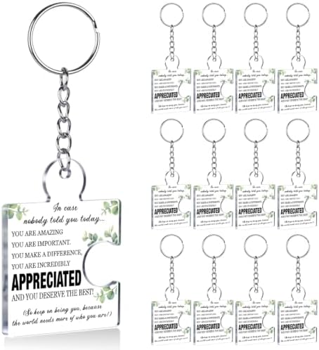 Team Appreciation Gifts Bulk for Coworkers Employee Staff Keychains by Unknown
