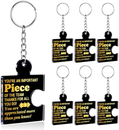 Team Appreciation Gifts Bulk for Coworkers Employee Staff Keychains by Unknown