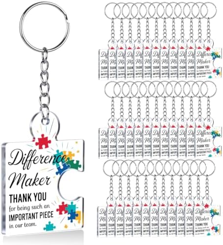 Team Appreciation Gifts Bulk for Coworkers Employee Staff Keychains by Unknown