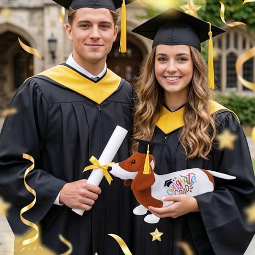 Blank Dachshund with Graduation Cap Toys Class of 2026 Plush Stuffed Teddy Bear Animal Dog Graduation Cap and Gown with Greeting Card and Bag for Graduation Day Gift(Dachshund B) - Image 5