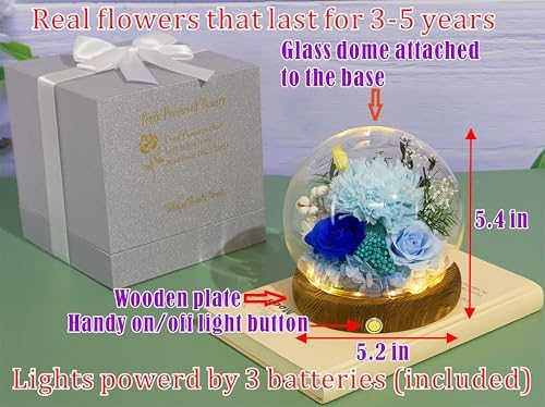 Long-Lasting Real Flowers - Unique Floral Gift For You To Send Love - Image 2