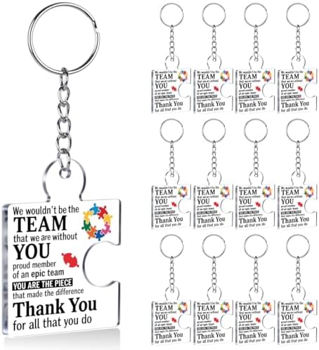 Team Appreciation Gifts Bulk for Coworkers Employee Staff Keychains by Unknown