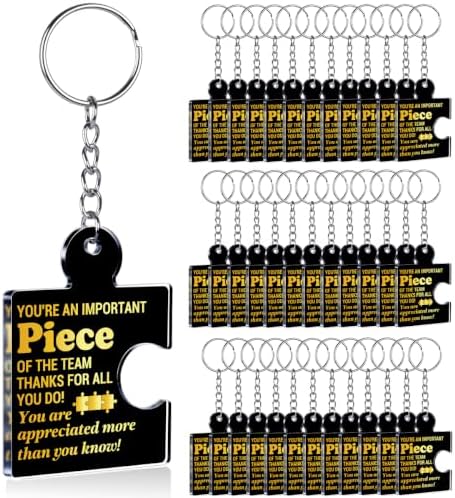 Team Appreciation Gifts Bulk for Coworkers Employee Staff Keychains by Unknown