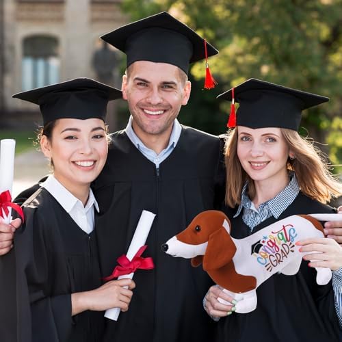 Blank Dachshund with Graduation Cap Toys Autograph Stuffed Dog Class of 2026 Graduated Plush Stuffed Teddy Animal Dog for Graduation Day Gift(Dachshund) - Image 6