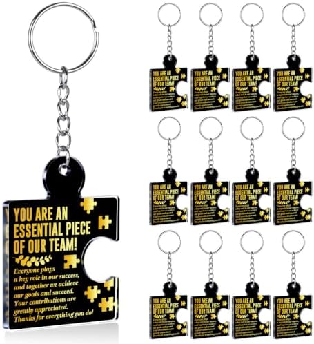 Team Appreciation Gifts Bulk for Coworkers Employee Staff Keychains by Unknown