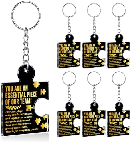 Team Appreciation Gifts Bulk for Coworkers Employee Staff Keychains by Unknown