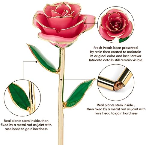 Anthonic Gold Dipped Infinity Rose Last Forever Flower Decor, Birthday Gift for Women in Her Birthday Valentines Day Mothers Day, Resin Preserved Rose | Anniversary Present for Mom (Pink) - Image 3