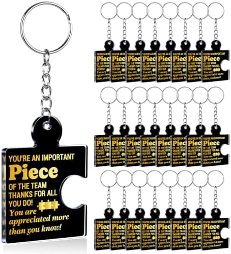 Team Appreciation Gifts Bulk for Coworkers Employee Staff Keychains by Unknown