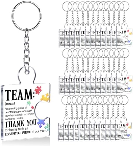 Team Appreciation Gifts Bulk for Coworkers Employee Staff Keychains by Unknown