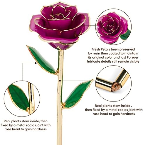 Anthonic Gold Dipped Infinity Rose Last Forever Flower Decor, Birthday Gift for Women in Her Birthday Valentines Day Mothers Day, Resin Preserved Rose | Anniversary Present for Mom (Purple) - Image 3