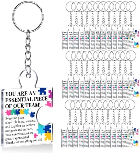Team Appreciation Gifts Bulk for Coworkers Employee Staff Keychains by Unknown