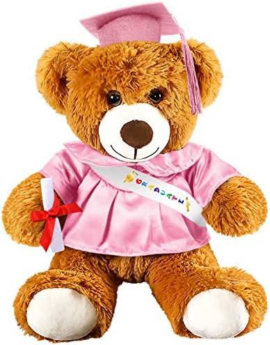 Foilswirl Graduation Bear 2026 with Gown Cap Tassel 9” Pink Graduation Stuffed Animal Plush Bear Toy for Class of 2026 Prek Preschool Kindergarten High School College Graduate Gift by Foilswirl