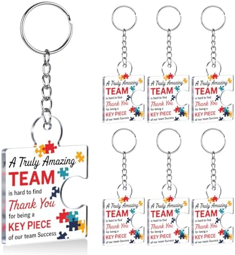 Team Appreciation Gifts Bulk for Coworkers Employee Staff Keychains by Unknown