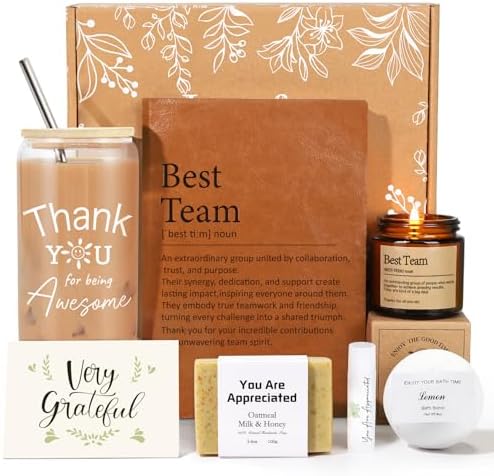 iAOVUEBY Best Team Ever Gifts, Team Appreciation Gifts for Employees, Thank You Gift for Coworkers, Teacher, Nurse, Secretary, Mentor, Leaders, Leadership Basket by iAOVUEBY