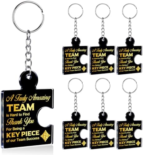 Team Appreciation Gifts Bulk for Coworkers Employee Staff Keychains by Unknown