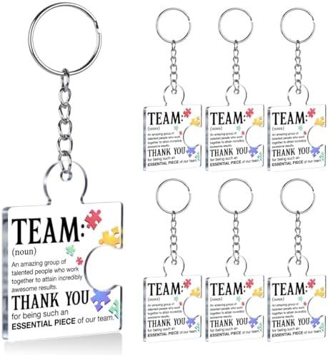 Team Appreciation Gifts Bulk for Coworkers Employee Staff Keychains by Unknown