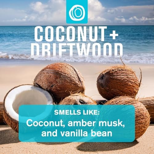 Every Man Jack Bath and Body Shower Gift Set for Men, Coconut Driftwood - Image 4