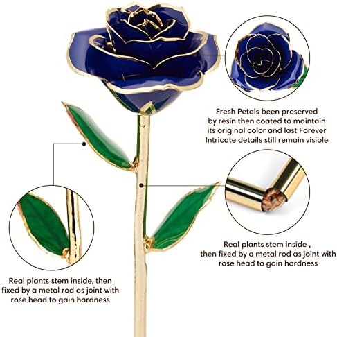 Anthonic Gold Dipped Infinity Rose Last Forever Flower Decor, Birthday Gift for Women in Her Birthday Valentines Day Mothers Day, Resin Preserved Rose | Anniversary Present for Mom (Blue) - Image 3