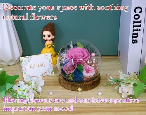 Long-Lasting Real Flowers - Unique Floral Gift For You To Send Love - Image 5