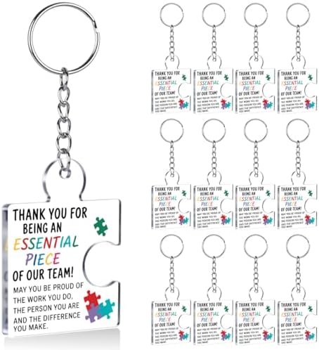 Team Appreciation Gifts Bulk for Coworkers Employee Staff Keychains by Unknown