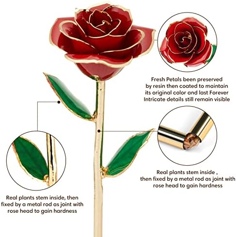 Anthonic Gold Dipped Infinity Rose Last Forever Flower Decor, Birthday Gift for Women in Her Birthday Valentines Day Mothers Day, Resin Preserved Rose | Anniversary Present for Mom (Red) - Image 3