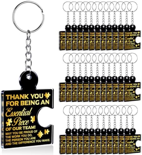 Team Appreciation Gifts Bulk for Coworkers Employee Staff Keychains by Unknown