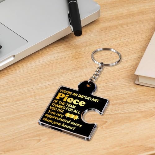 Team Appreciation Gifts Bulk for Coworkers Employee Staff Keychains - Image 5