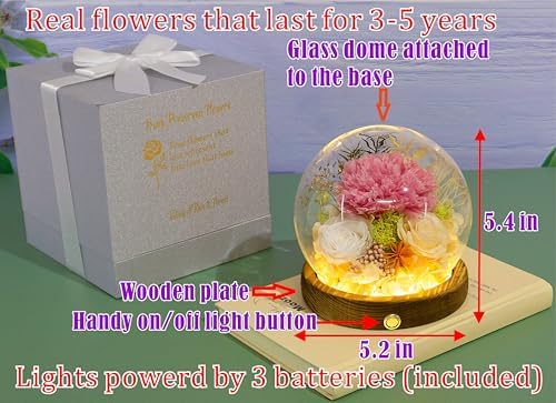 Long-Lasting Real Flowers - Unique Floral Gift For You To Send Love - Image 2