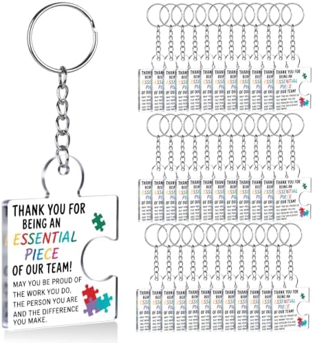 Team Appreciation Gifts Bulk for Coworkers Employee Staff Keychains by Unknown