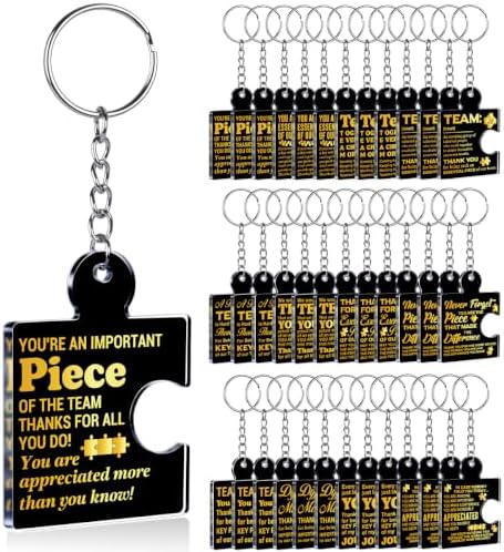 Team Appreciation Gifts Bulk for Coworkers Employee Staff Keychains by Unknown