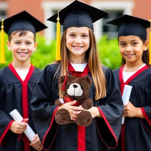 Bear with Graduation Cap Toys Class of 2026 Plush Stuffed Teddy Bear Animal Dog Cap and Gown with Greeting Card and Bag for Graduation Day Gift(Red B) - Image 6