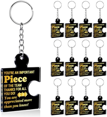 Team Appreciation Gifts Bulk for Coworkers Employee Staff Keychains by Unknown