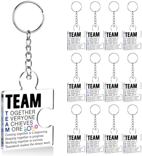 Team Appreciation Gifts Bulk for Coworkers Employee Staff Keychains by Unknown