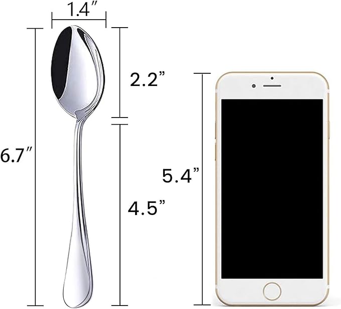 HANSGO Stainless Steel Teaspoons, 6-Piece Coffee & Dessert Spoons Set, 6.7 Inch Small Spoons for Tea, Sugar, Yogurt & Ice Cream, Mirror Polished, Dishwasher Safe
