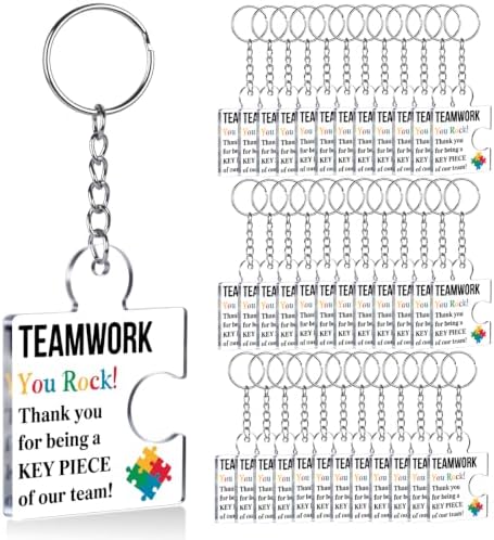 Team Appreciation Gifts Bulk for Coworkers Employee Staff Keychains by Unknown
