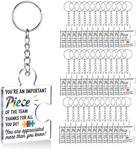 Team Appreciation Gifts Bulk for Coworkers Employee Staff Keychains by Unknown